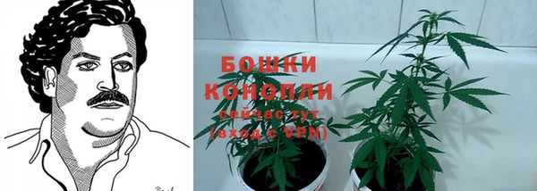 2c-b Абинск