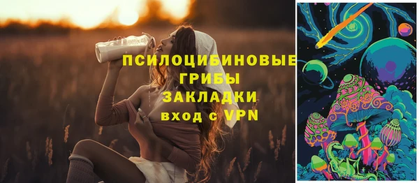 стаф Алексин