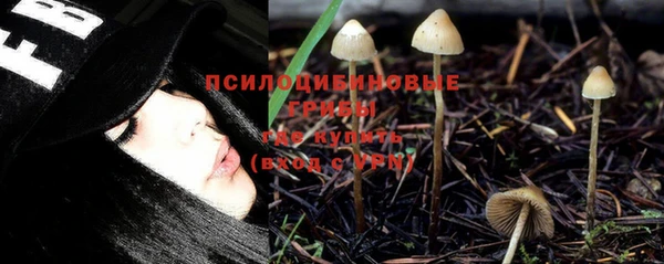 стаф Алексин